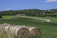 2020-Val-dOrcia-12